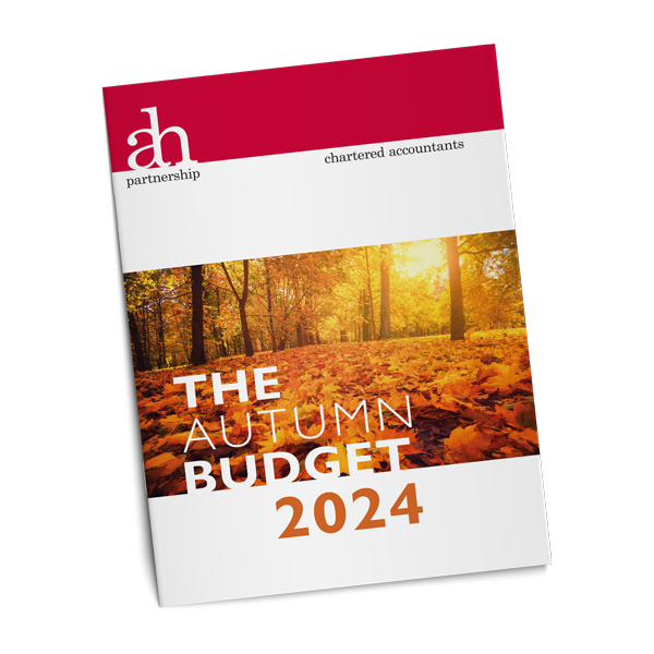 Budget summary autumn 24